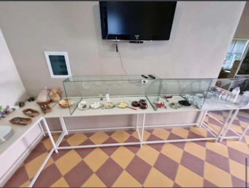 Hotel Vila Nino Berat Buitenkant foto